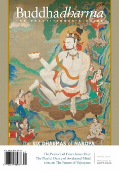 Buddhadharma Magazine