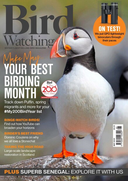 Bird Watching (UK) Magazine