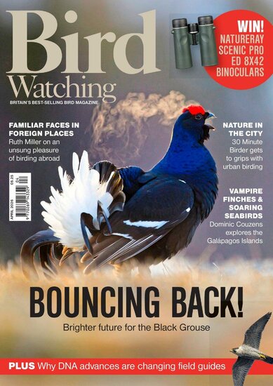 Bird Watching (UK) Magazine