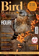 Bird Watching (UK) Magazine