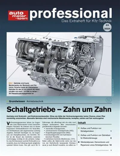 Auto Motor und Sport Professional (alemán)