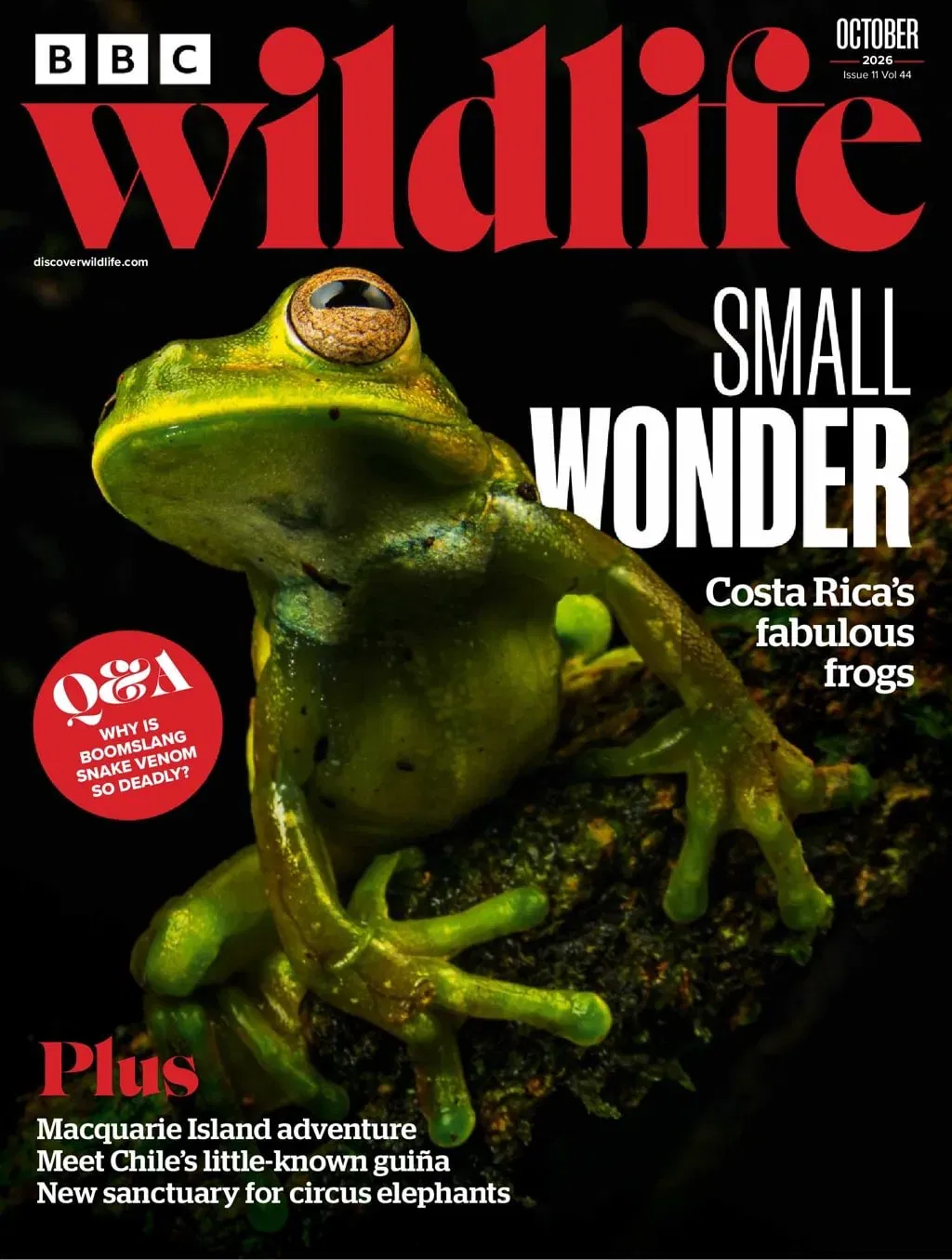 BBC Wildlife Magazine