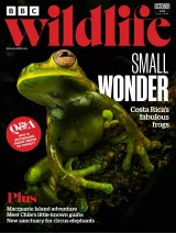 BBC Wildlife Magazine 1