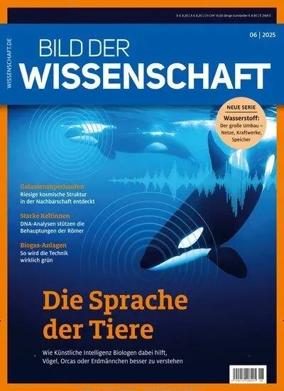 Bild der Wissenschaft (alemán)