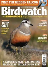 Birdwatch Magazine 1