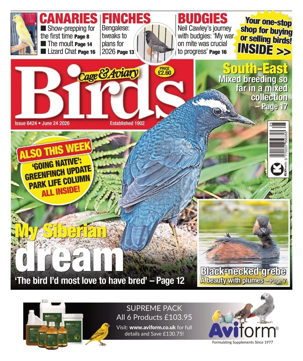 Cage & Aviary Birds Magazine 1