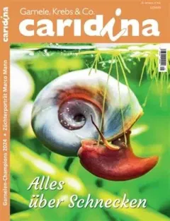 Caridina (alemán)