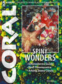 Coral Magazine