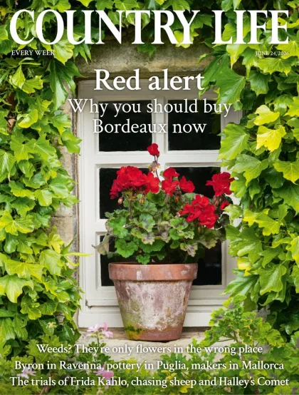 Country Life Magazine 1