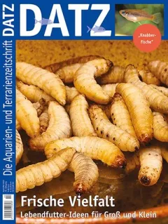 Datz (alemán)