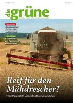 Die Grüne (alemán)