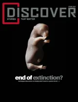 Discover Magazine 1