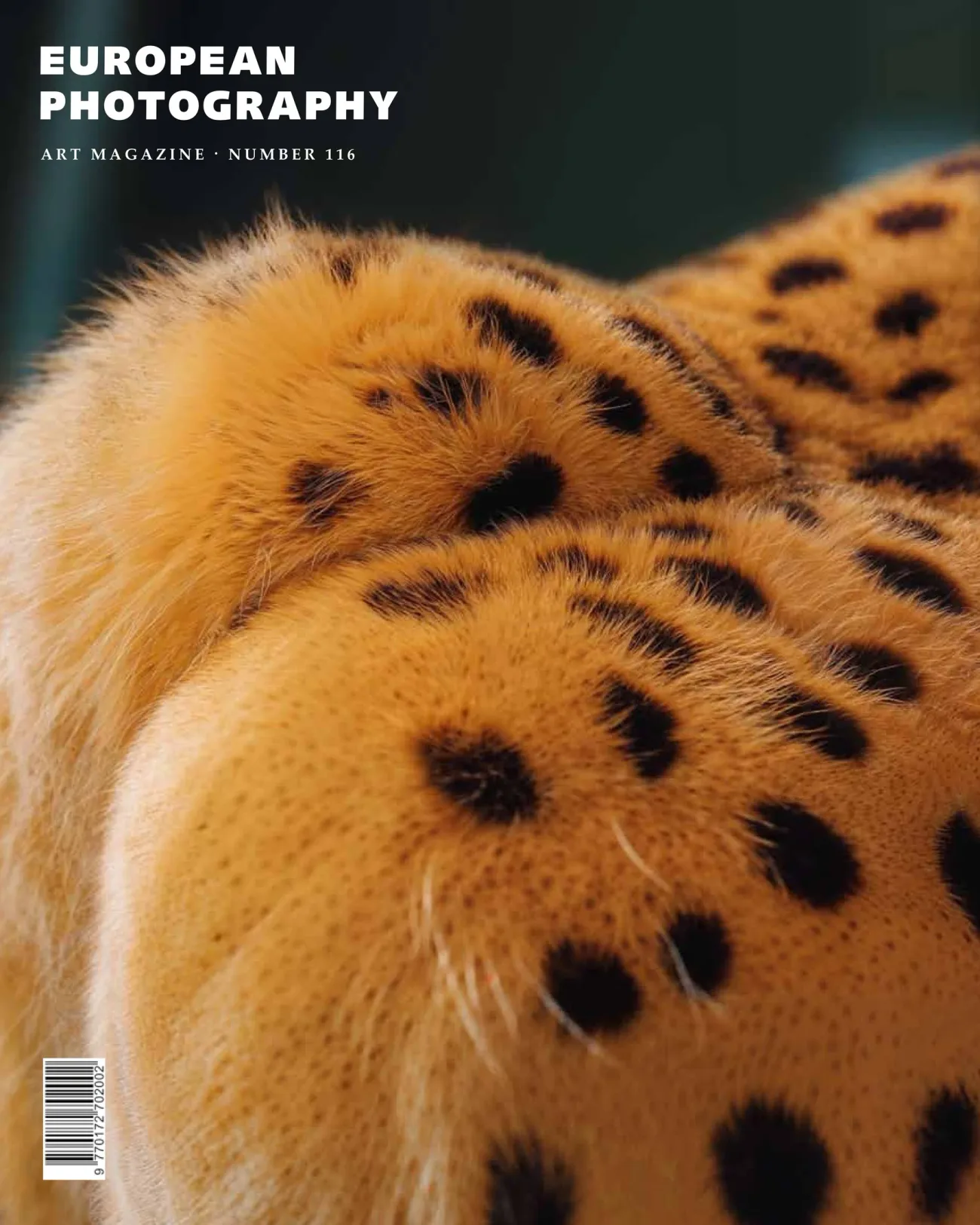 European Photography Magazine (edición en inglés)