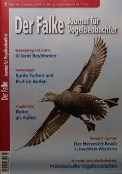 Falke (alemán)