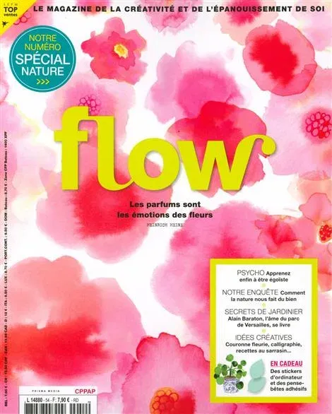 Flow (francés)