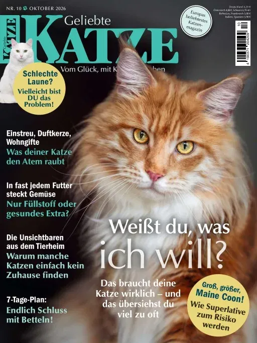 Geliebte Katze (alemán)