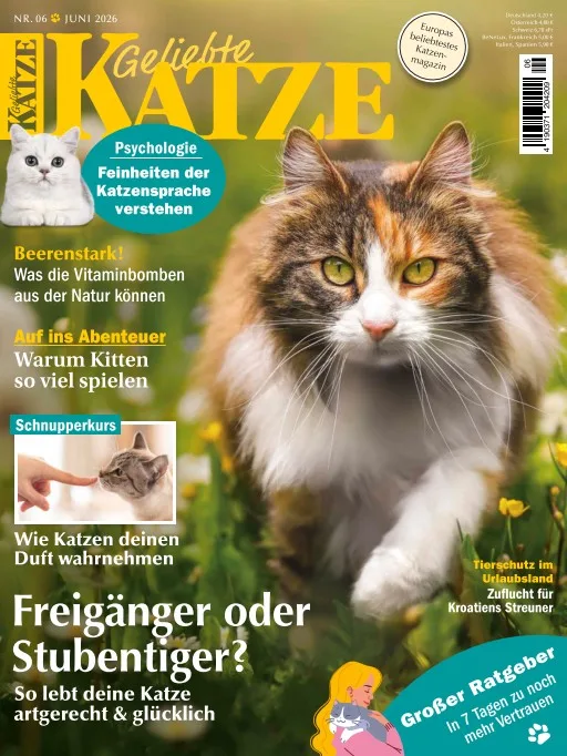 Geliebte Katze (alemán)