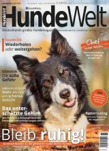 Hundewelt (alemán) 1
