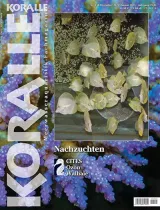 Koralle (alemán) 1