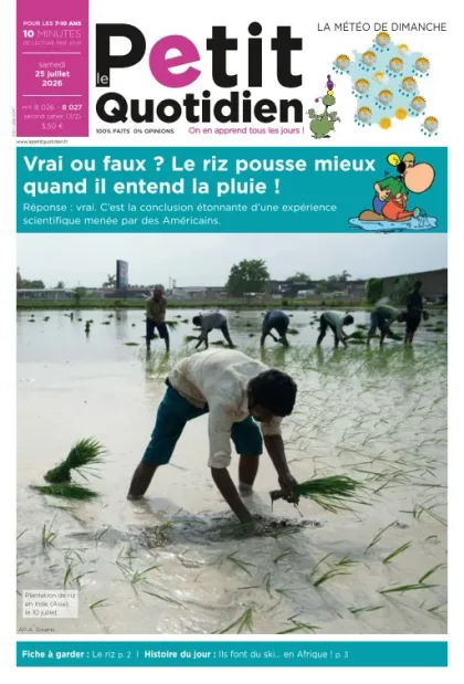 Le Petit Quotidien (francés)