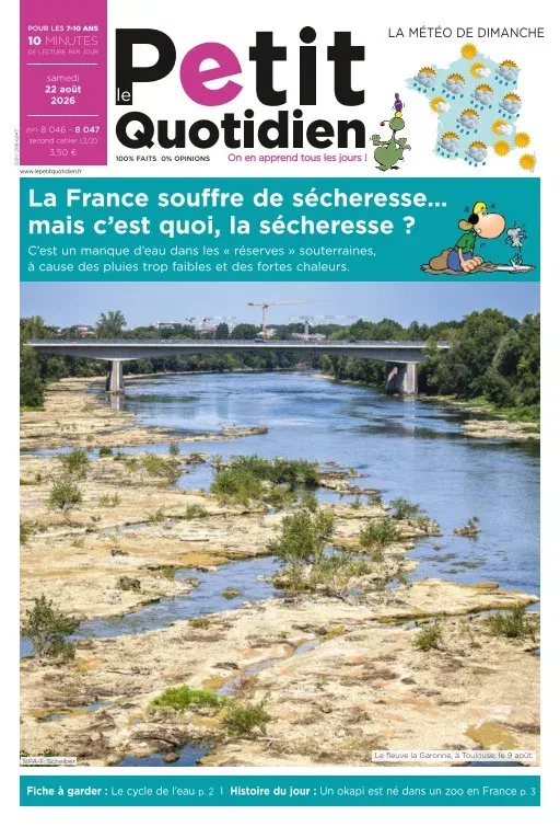 Le Petit Quotidien (francés)