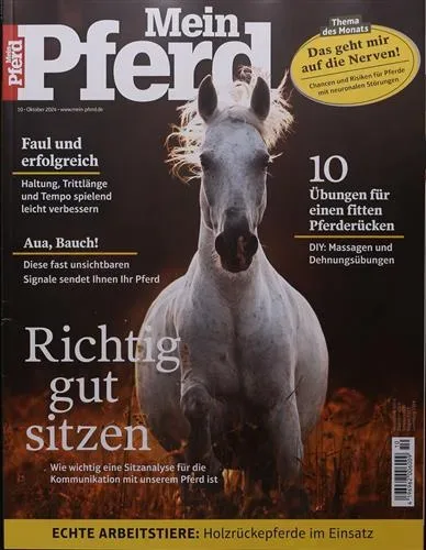 Mein Pferd (alemán)