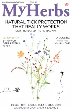 My Herbs Magazine