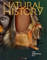Natural History Magazine 1