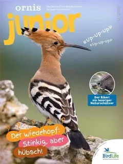 Ornis Junior (alemán)
