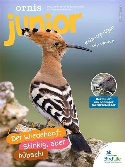 Ornis Junior (alemán)