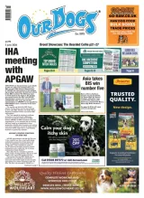 Our Dogs Magazine