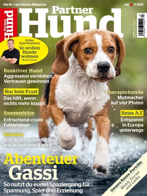 Partner Hund (alemán) 1