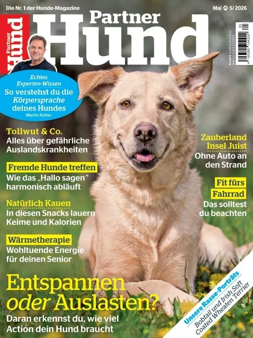 Partner Hund (alemán)
