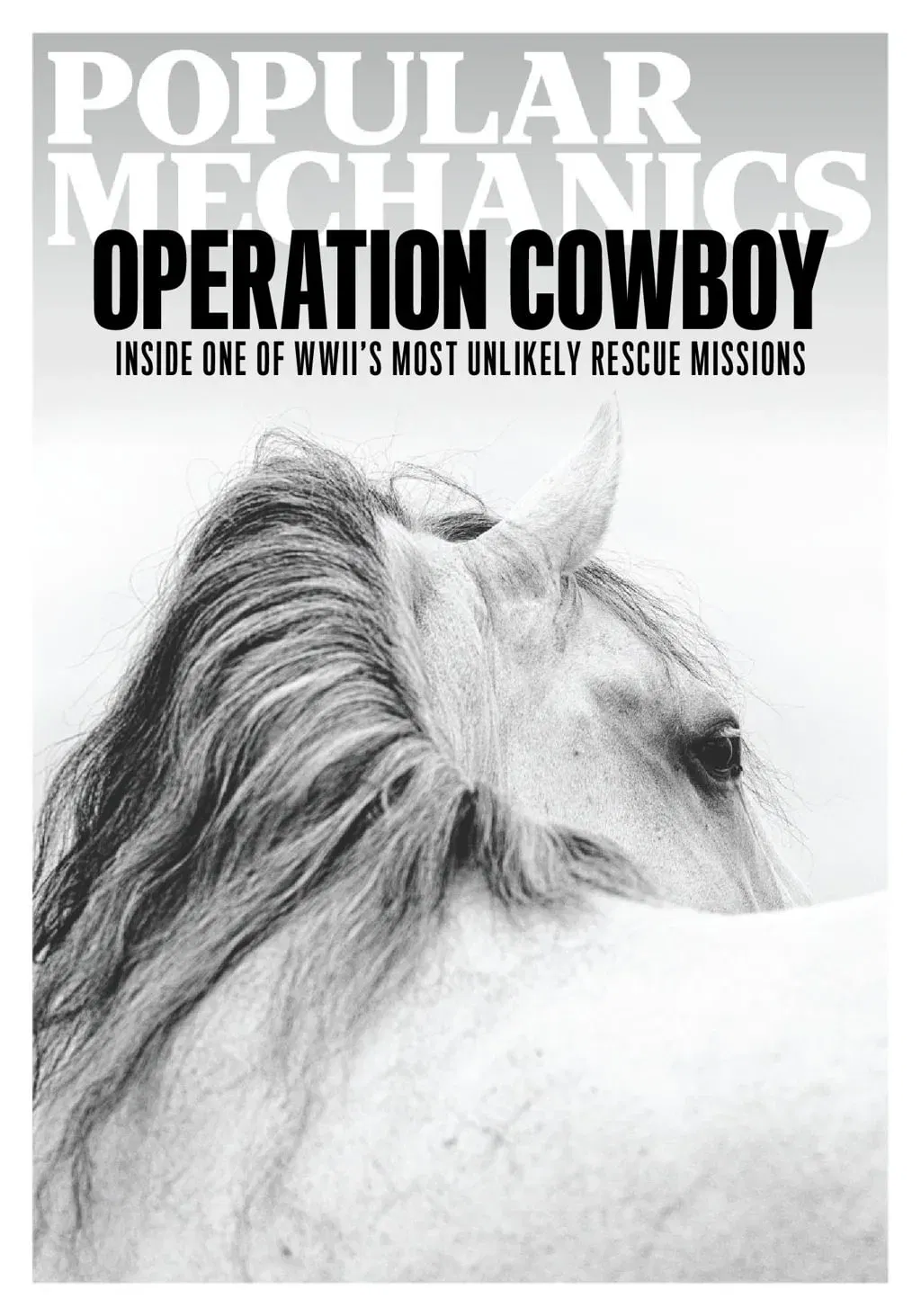 Popular Mechanics Magazine