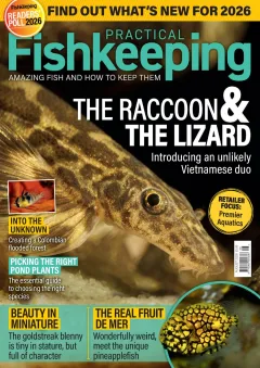 Practical Fishkeeping Magazine 1