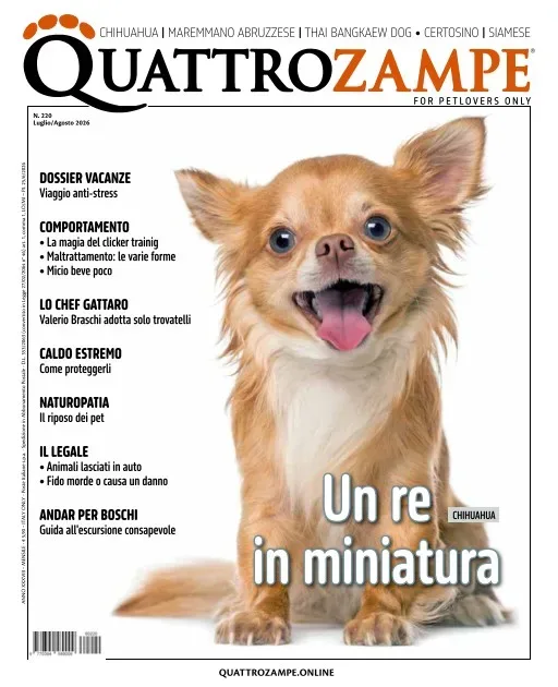 Quattro Zampe (italiano)