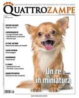 Quattro Zampe (italiano) 1