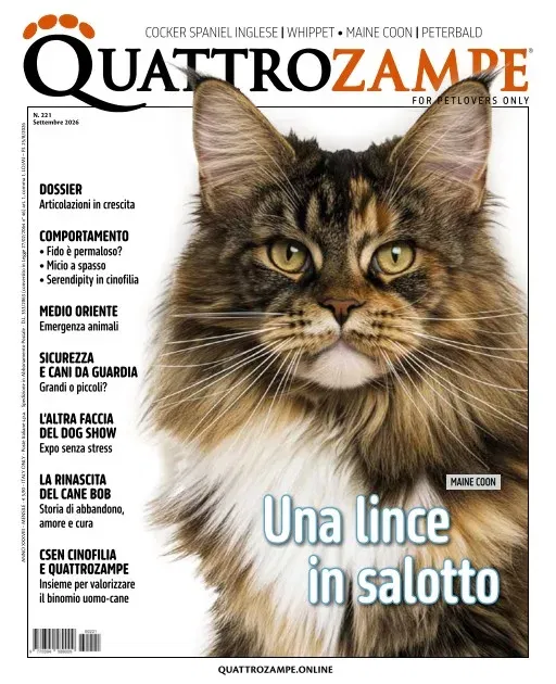 Quattro Zampe (italiano)