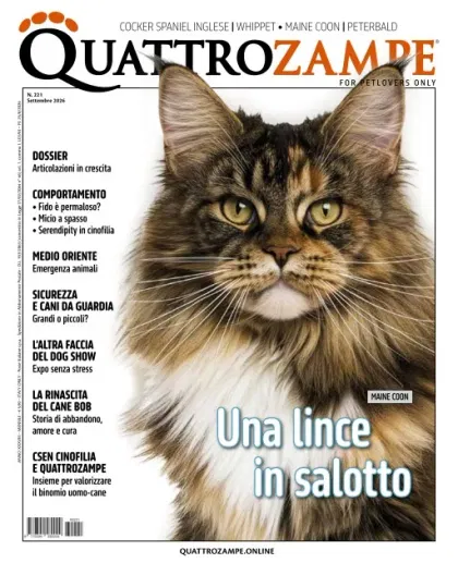 Quattro Zampe (italiano)