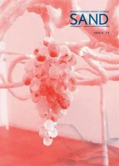 Sand Magazine (Inglés)