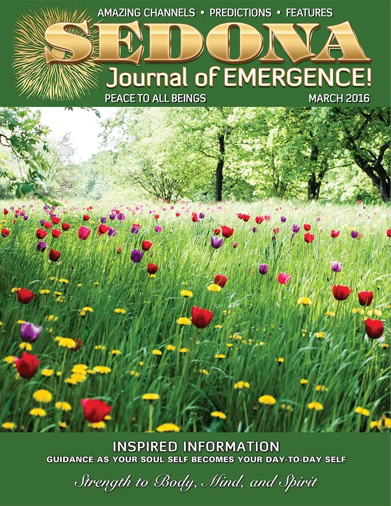 Sedona Journal of Emergence Magazine 1