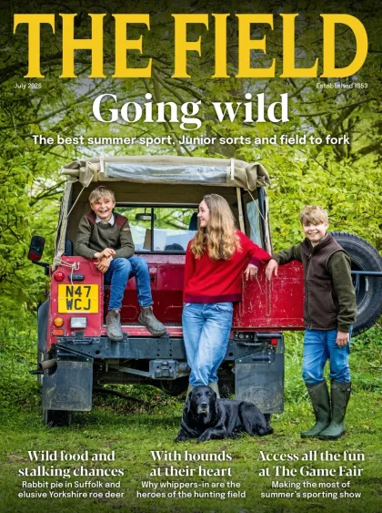 The Field Magazine 1
