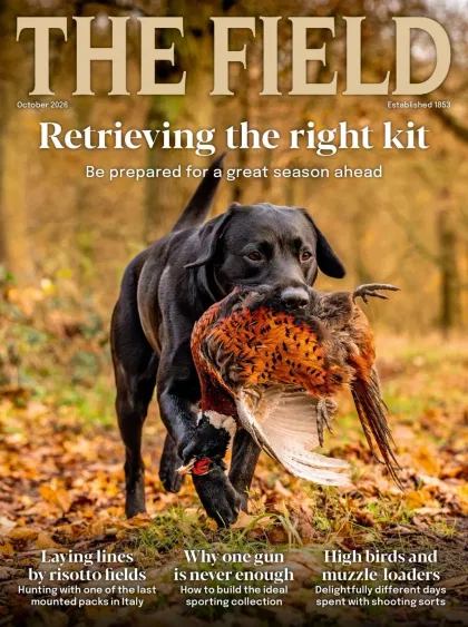 The Field Magazine
