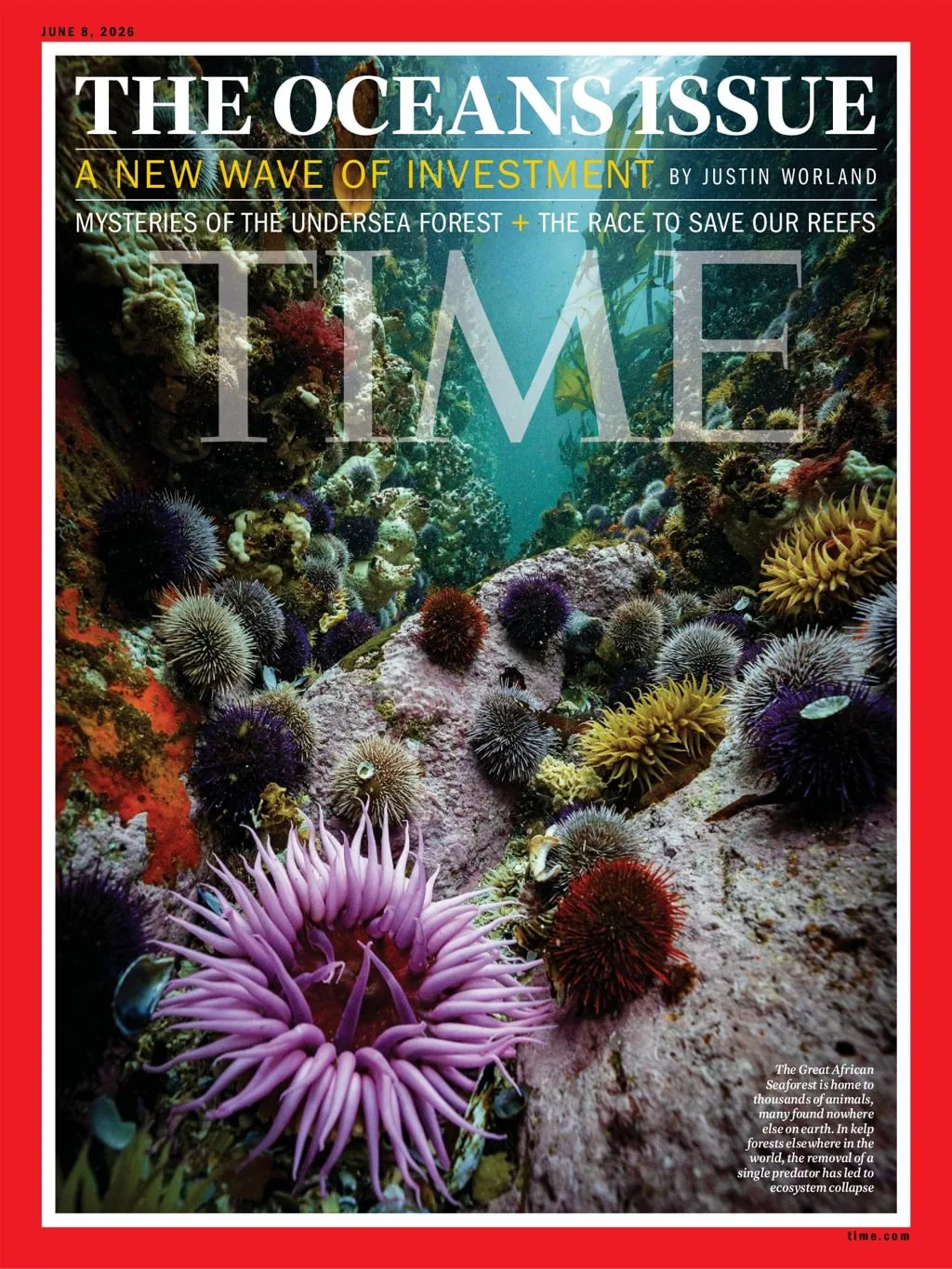 TIME Magazine (European Edition)
