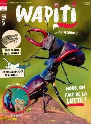 Wapiti (francés)