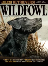 Wildfowl Magazine 1