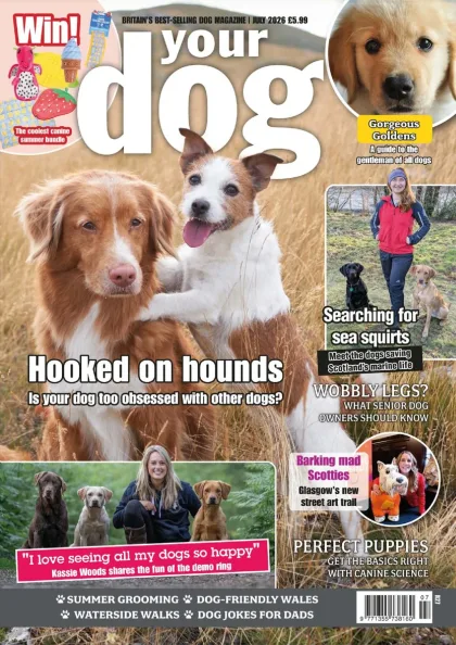 Your Dog Magazine